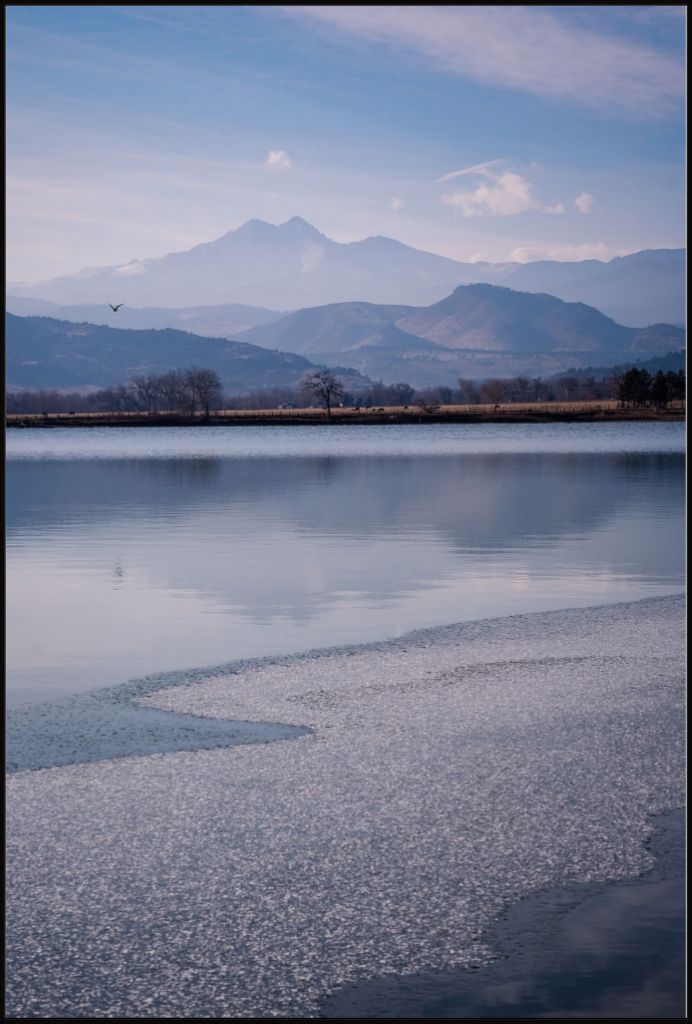 Longs Peak and Bird in Flight