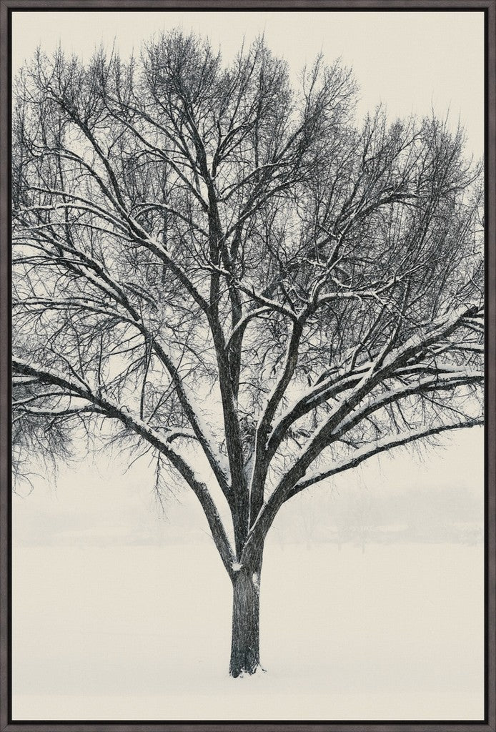 Monochrome Tree in Snow I