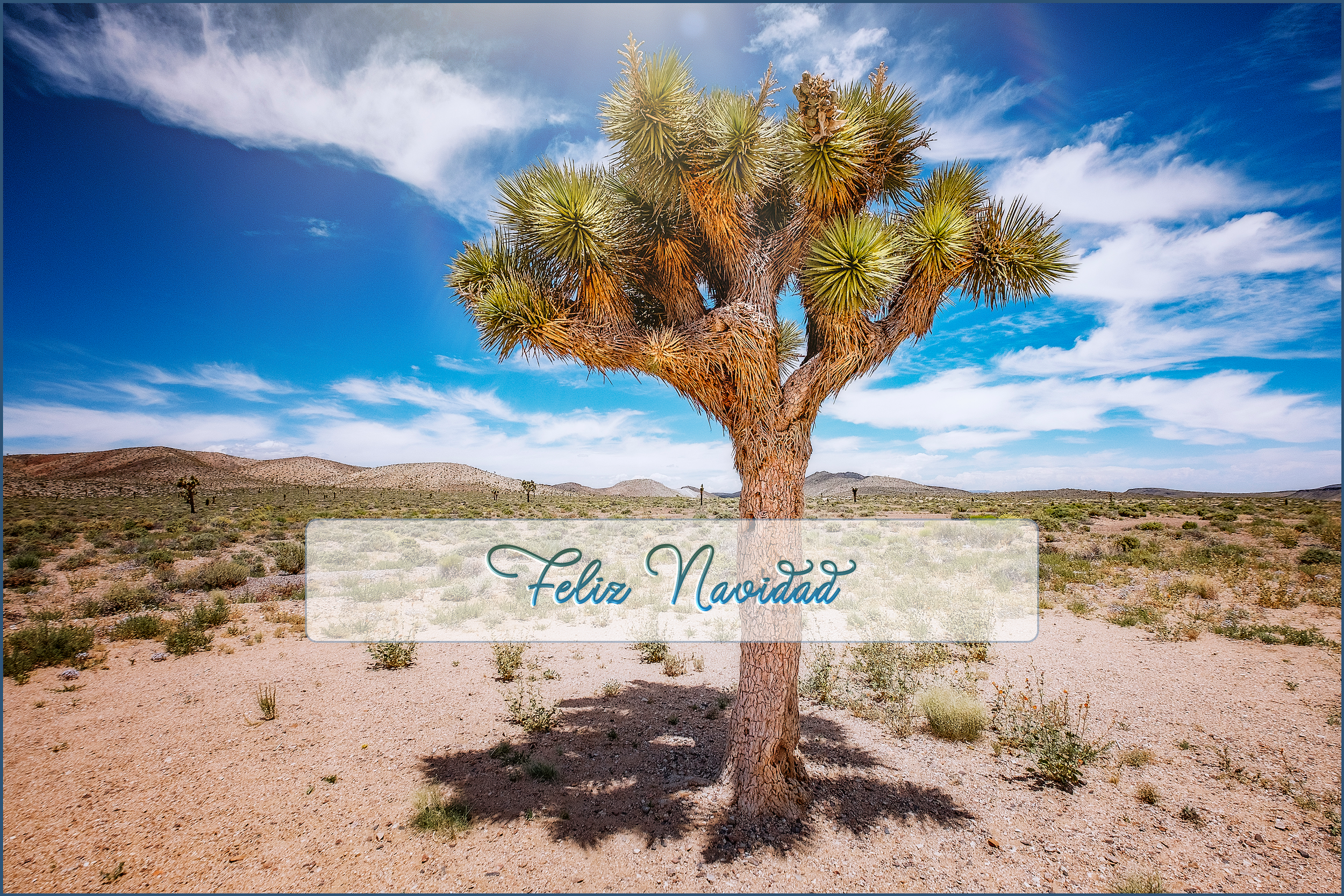 'Feliz Navidad' Holiday Greeting Cards (Set of 25)