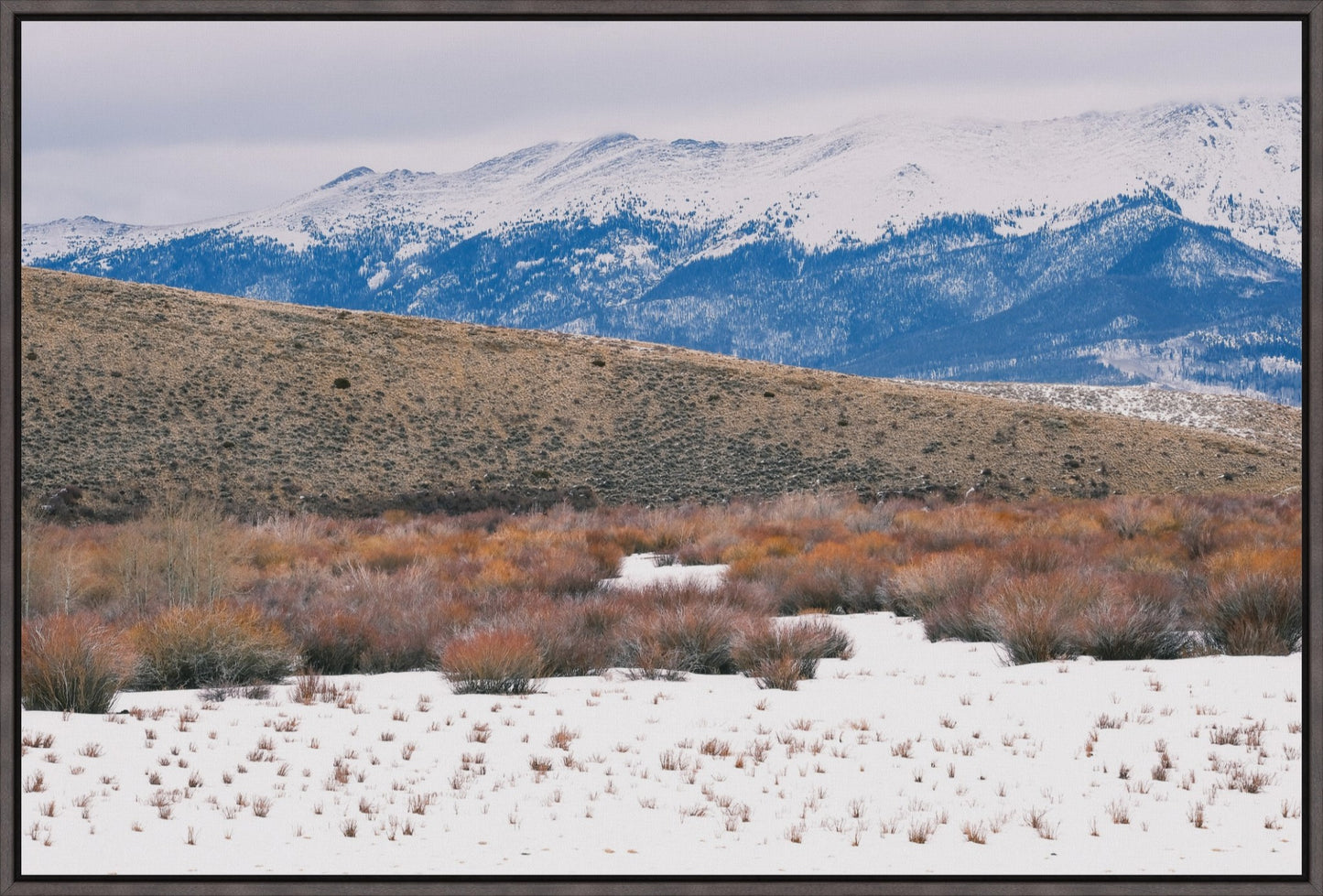 Rocky Mountain Winterscape