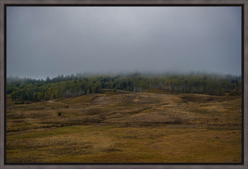 Low Clouds