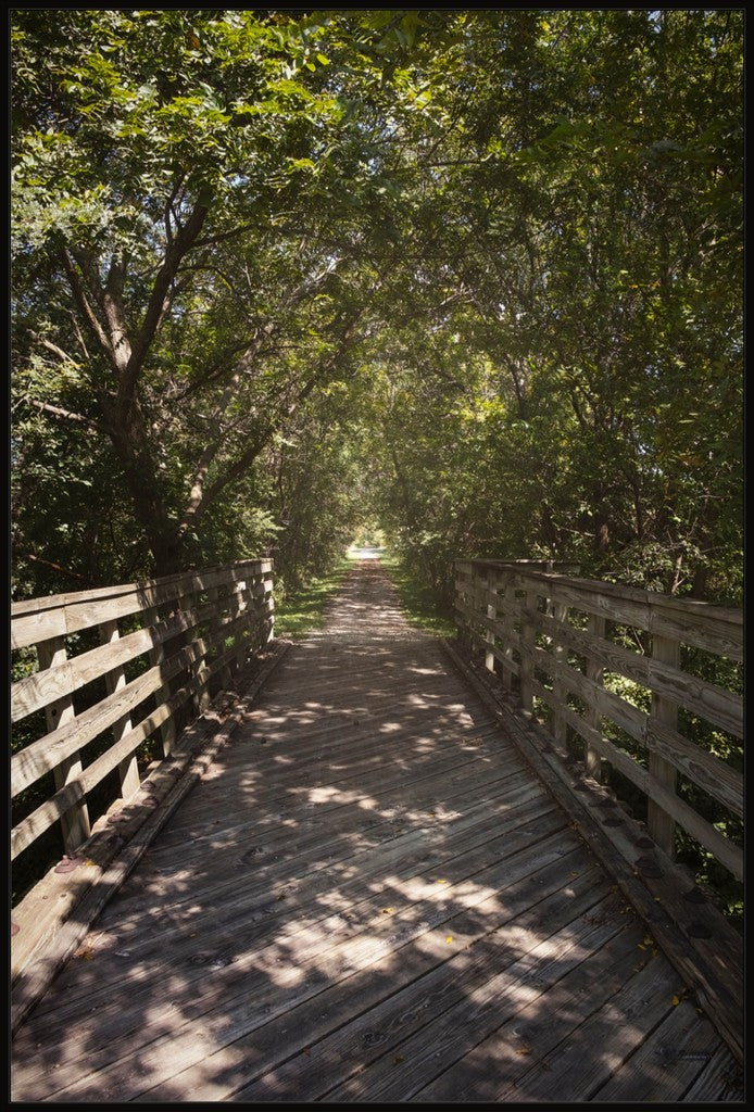 Rural Bike Path II