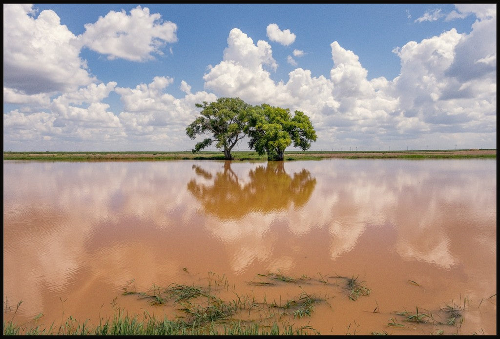 Muddy Reflections