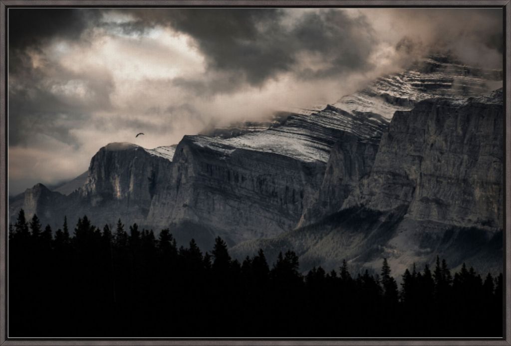 Mountain Flight