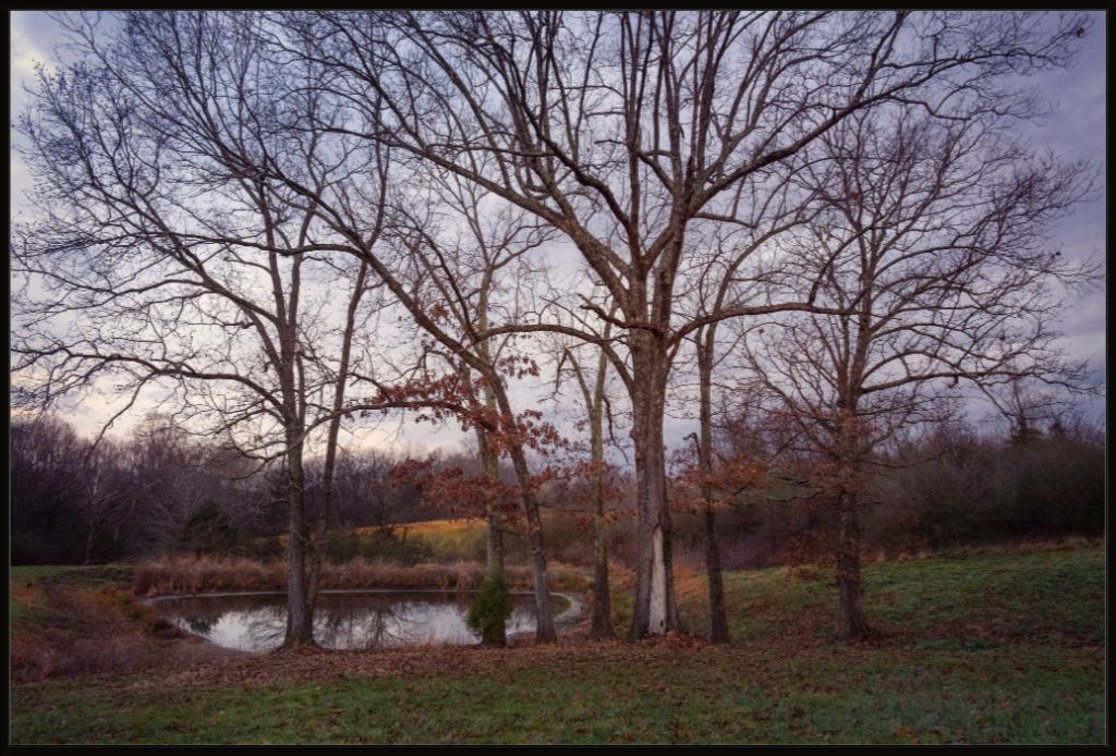 Peaceful TN Pond