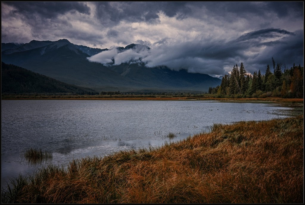 Alberta Wilderness Scene