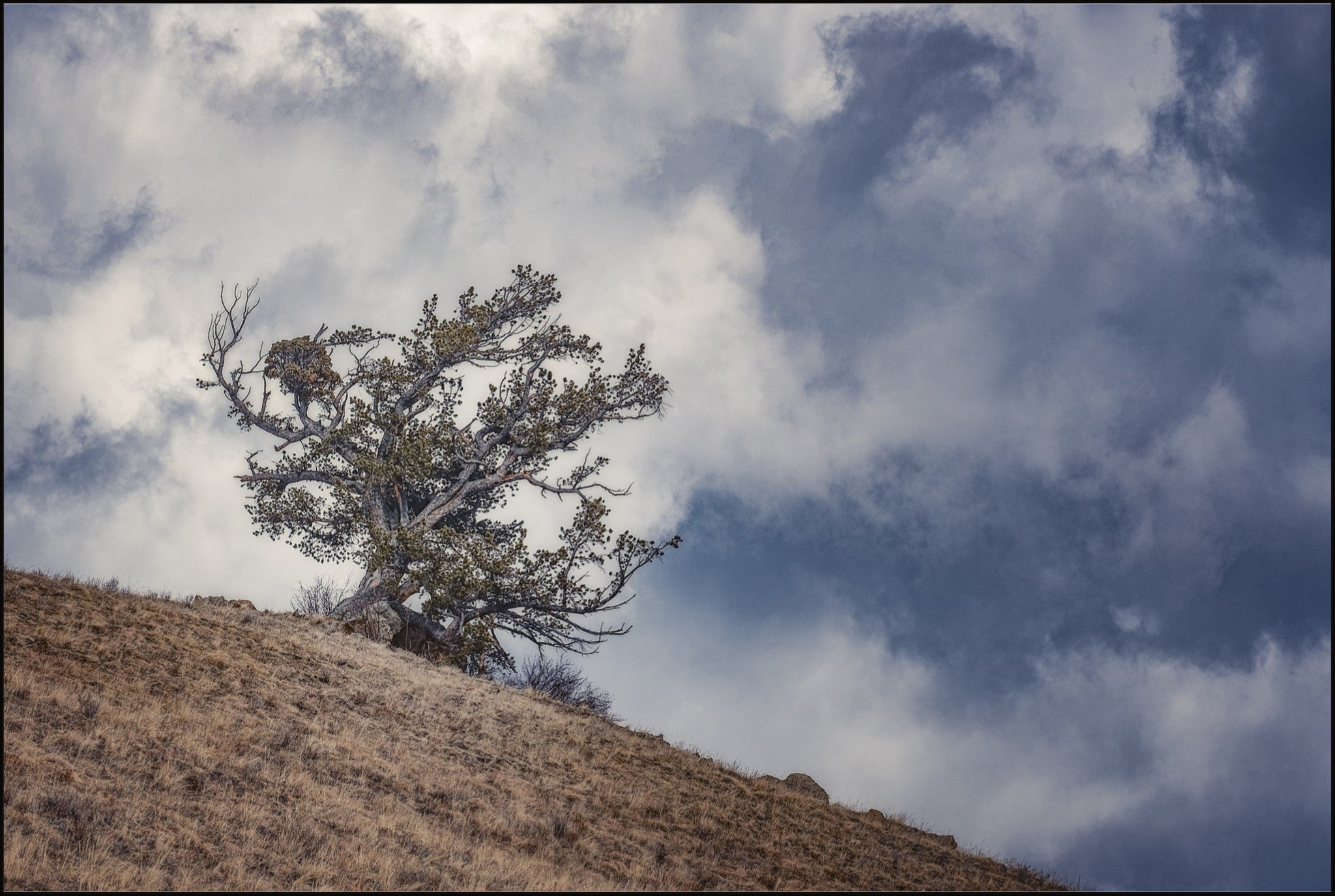 Sky and Land