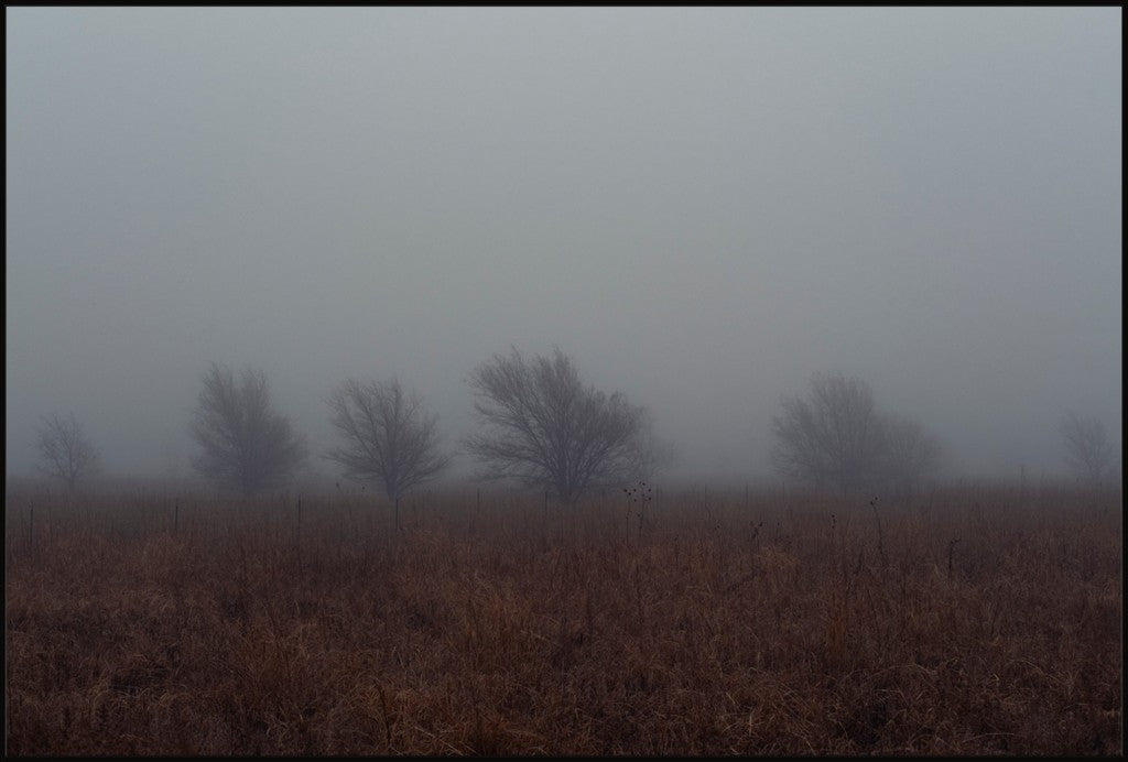 West Texas Winter Fog - 2