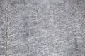 Heavy Snow & Forest Abstract IV