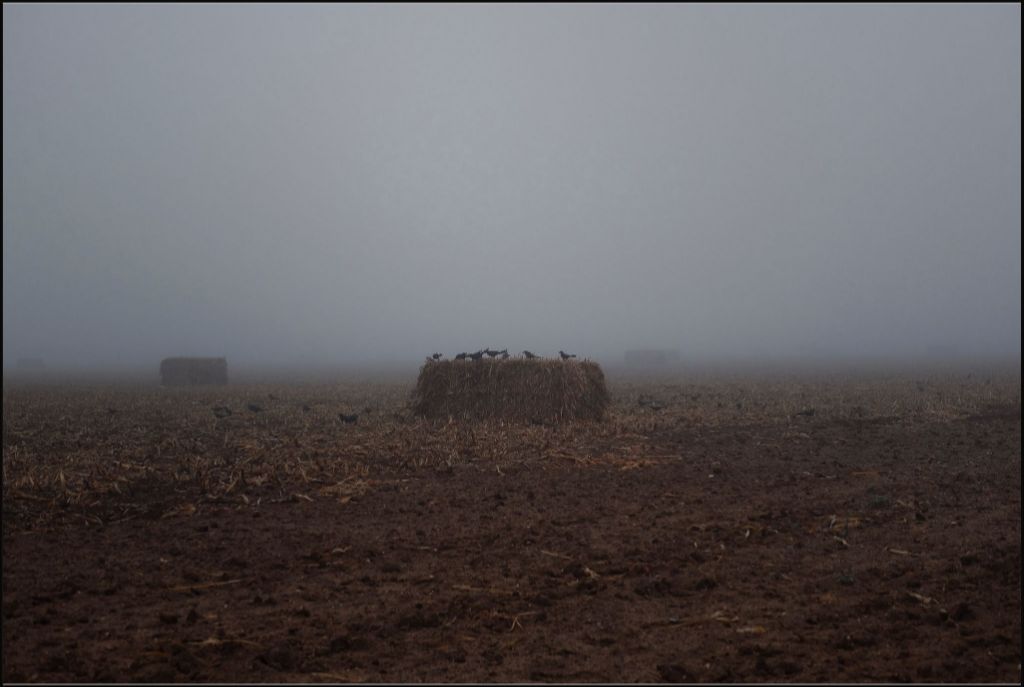 West Texas Winter Fog - 7
