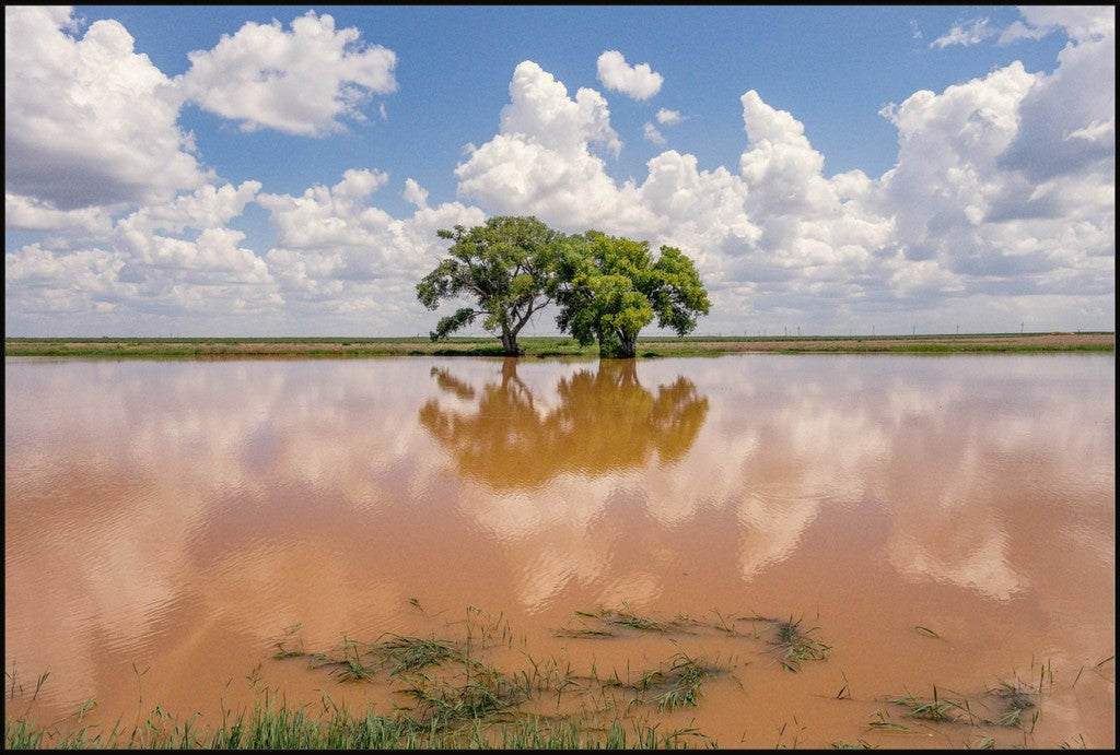 Muddy Reflections