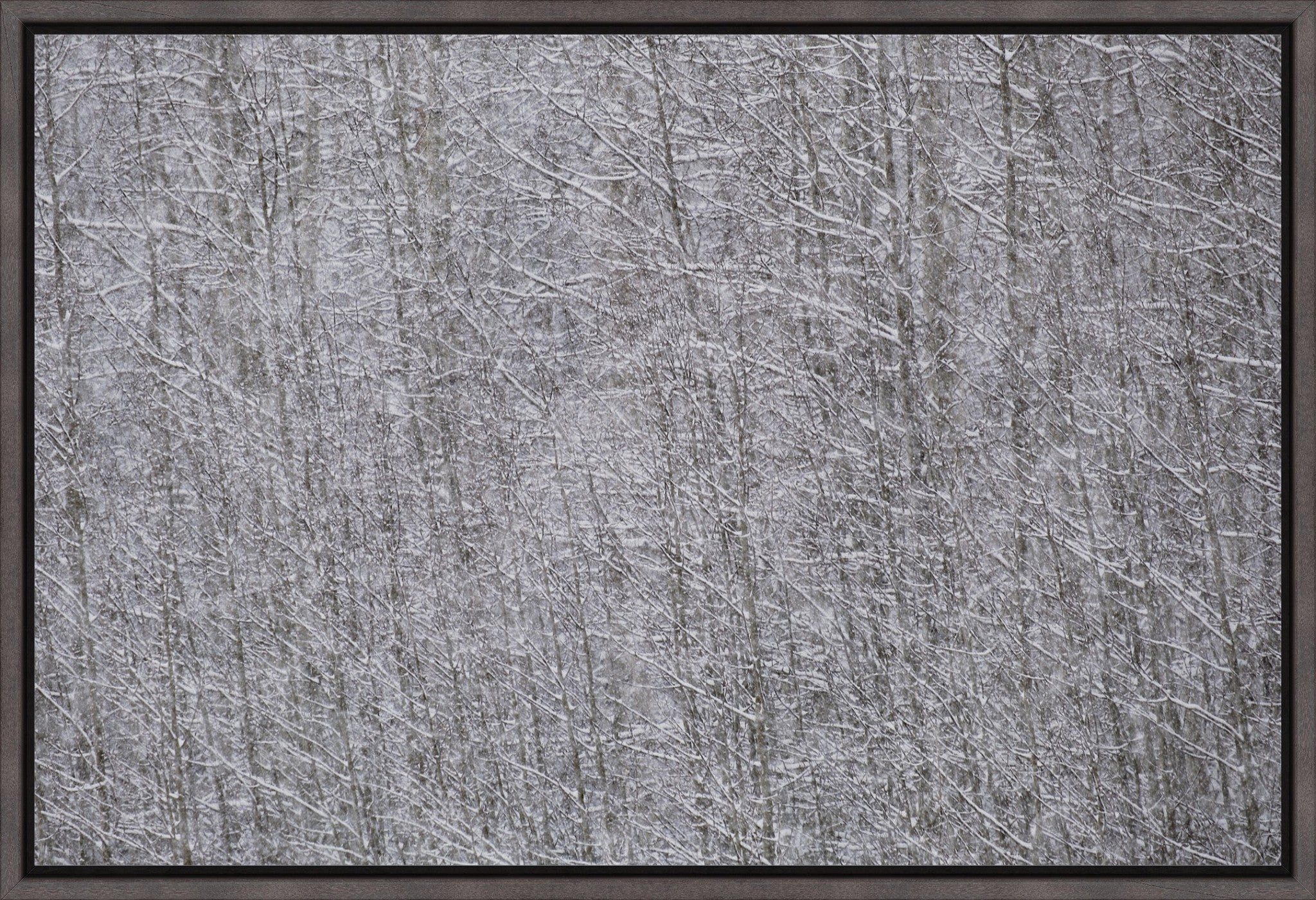 Heavy Snow & Forest Abstract I