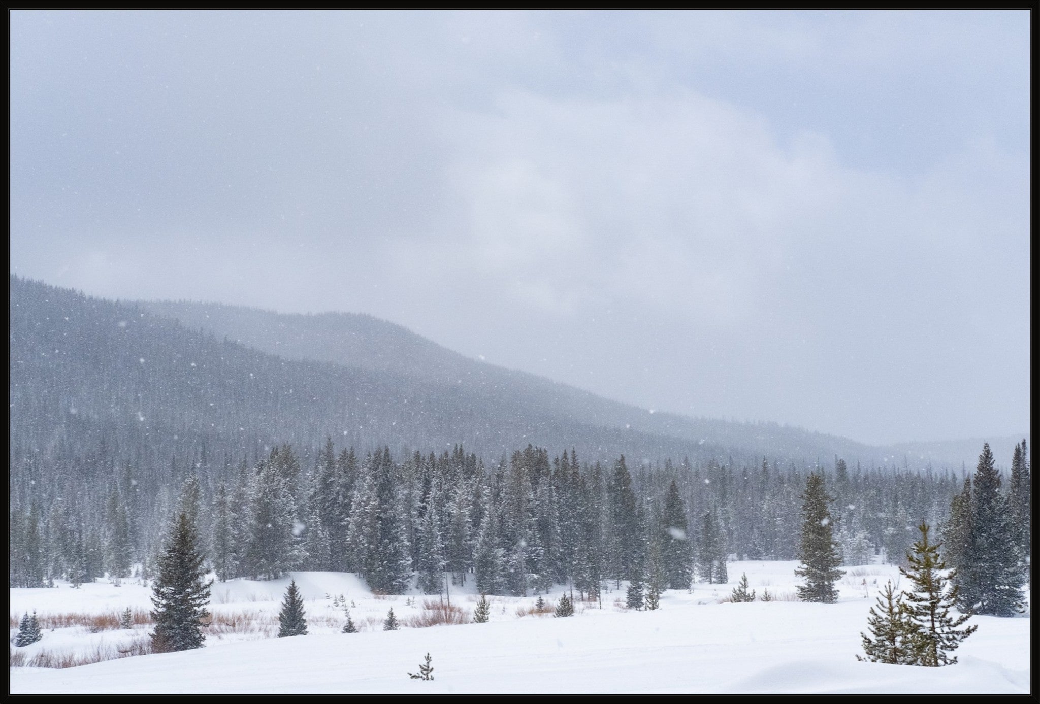 Late Winter Snowfall