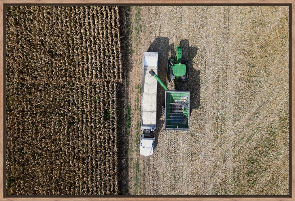 Aerial Corn Harvest IV