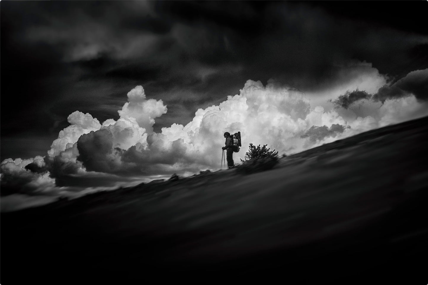The Hiker
