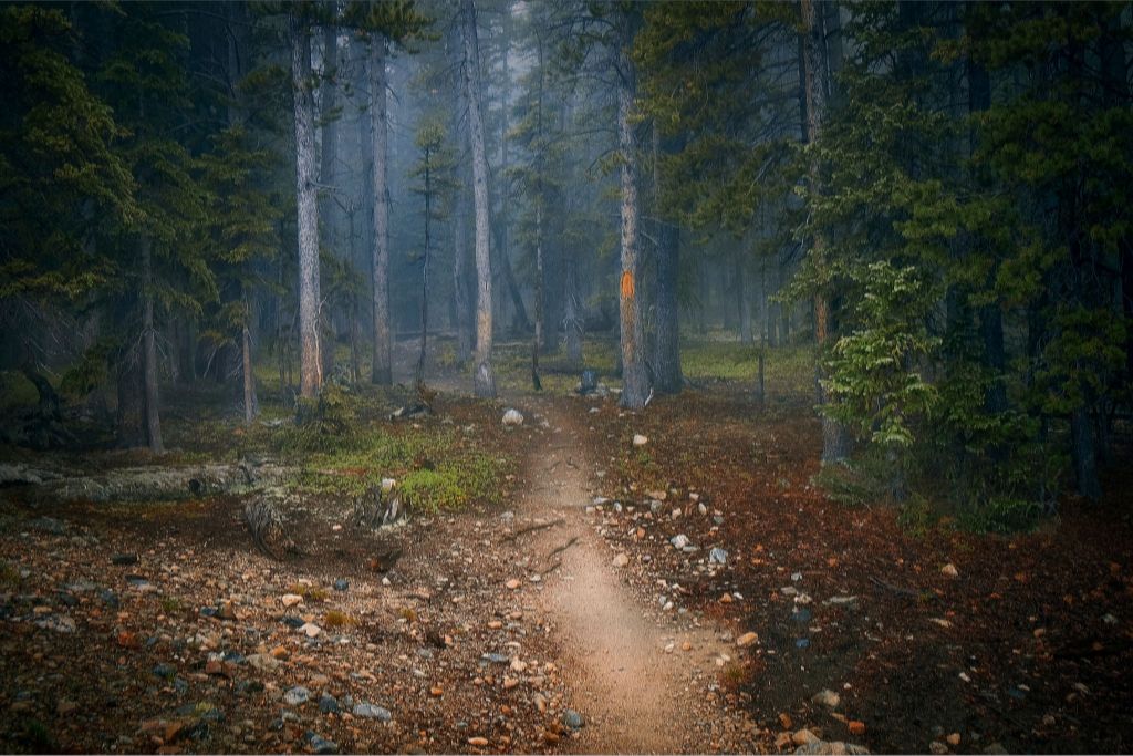 Path to the Unknown – Tif Holmes
