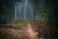 Path to the Unknown
