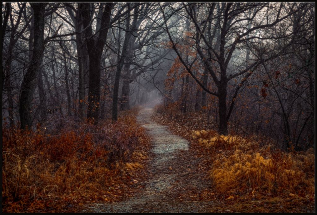 Misty Fall Path