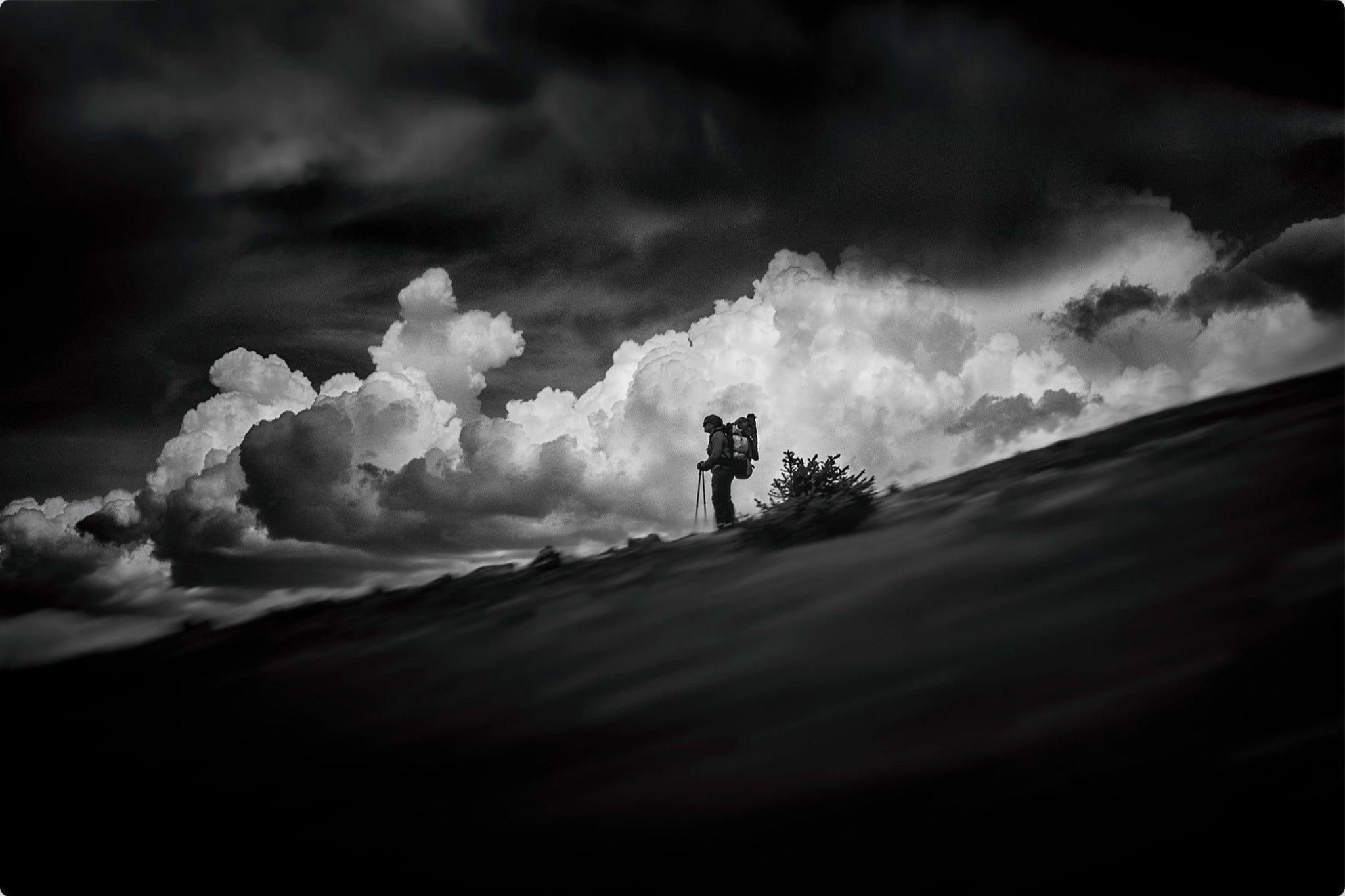 The Hiker