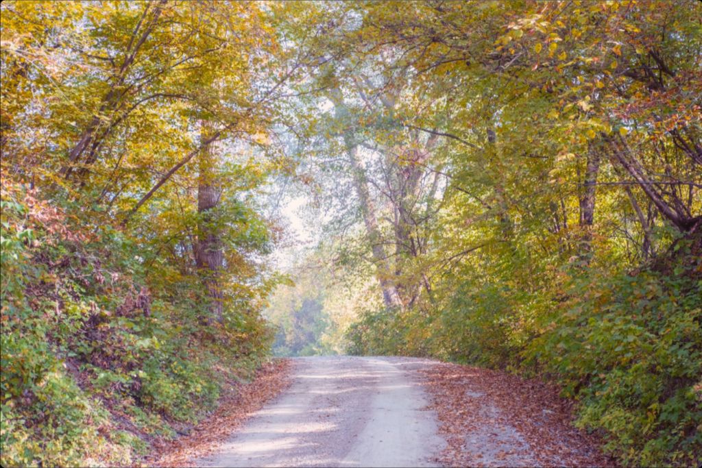 Midwest Fall Colors