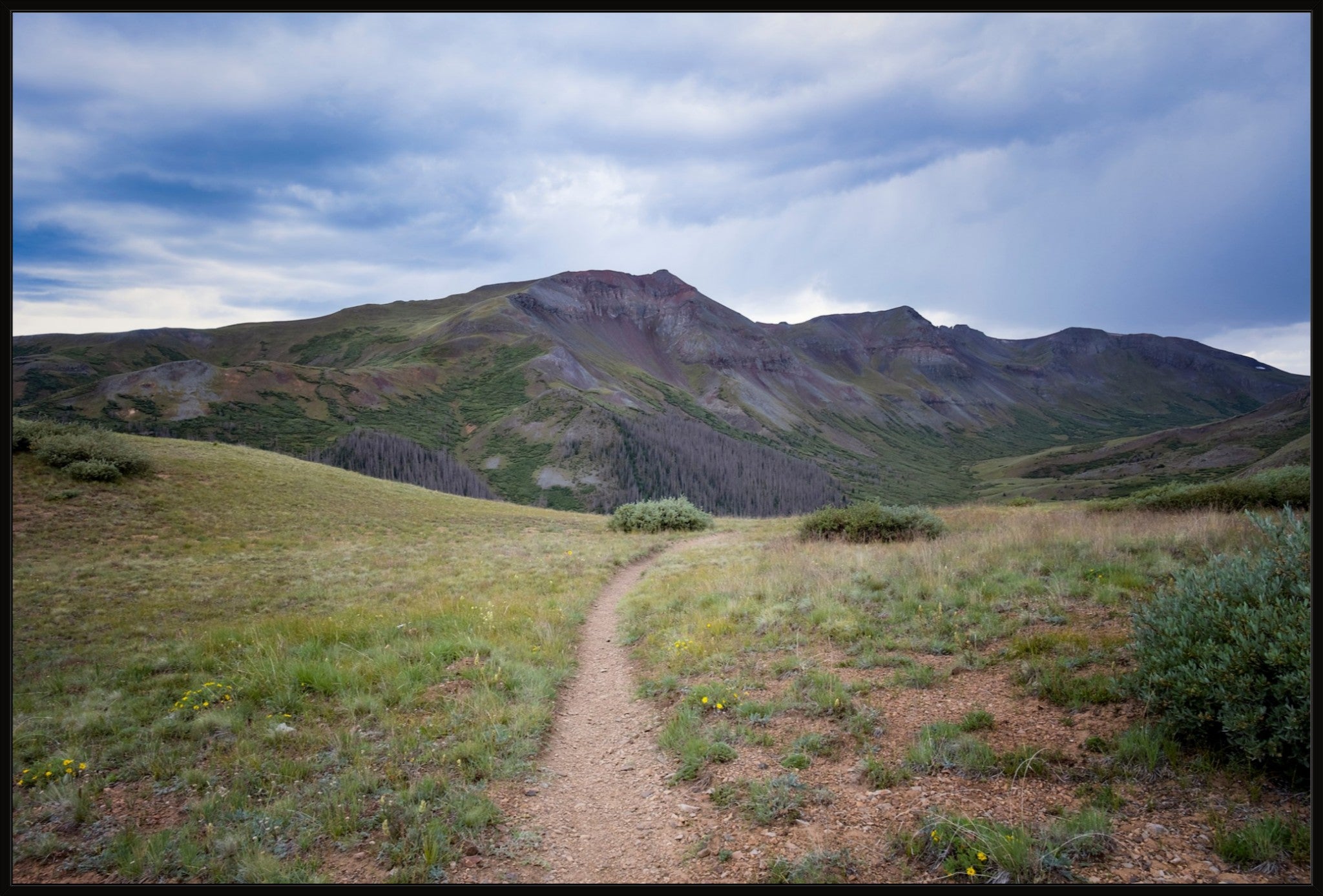 Into the San Juans