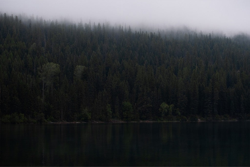 Montana Forest + Lake