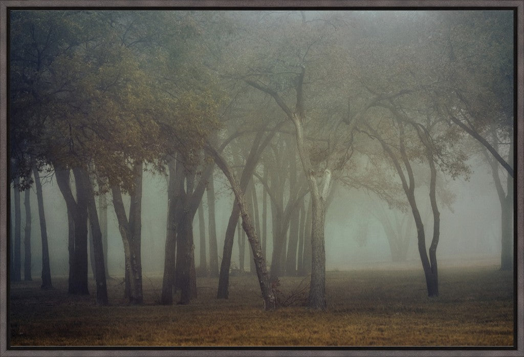 Canyon Lake Fog