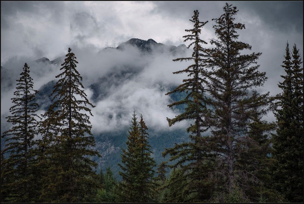 Banff Mountain View