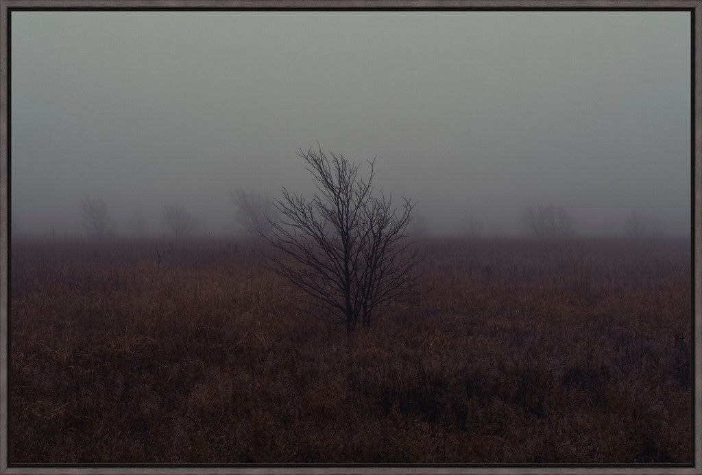 West Texas Winter Fog - 1