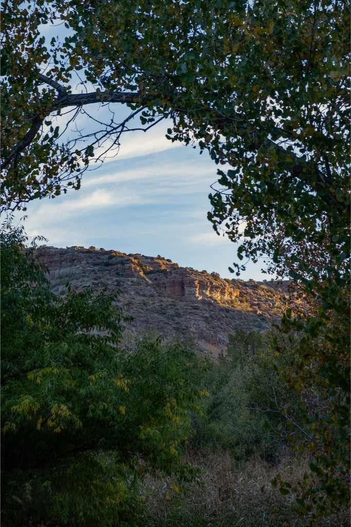 First Light on the Canyon Walls