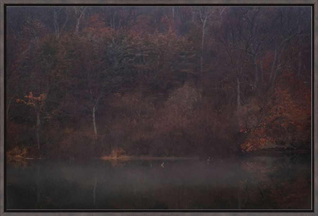 Foggy Winter Woods and Lake