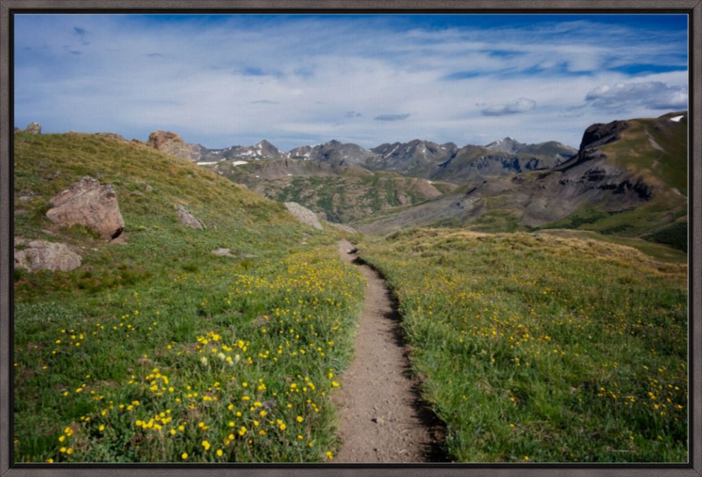 Yellow Wildflowers Way