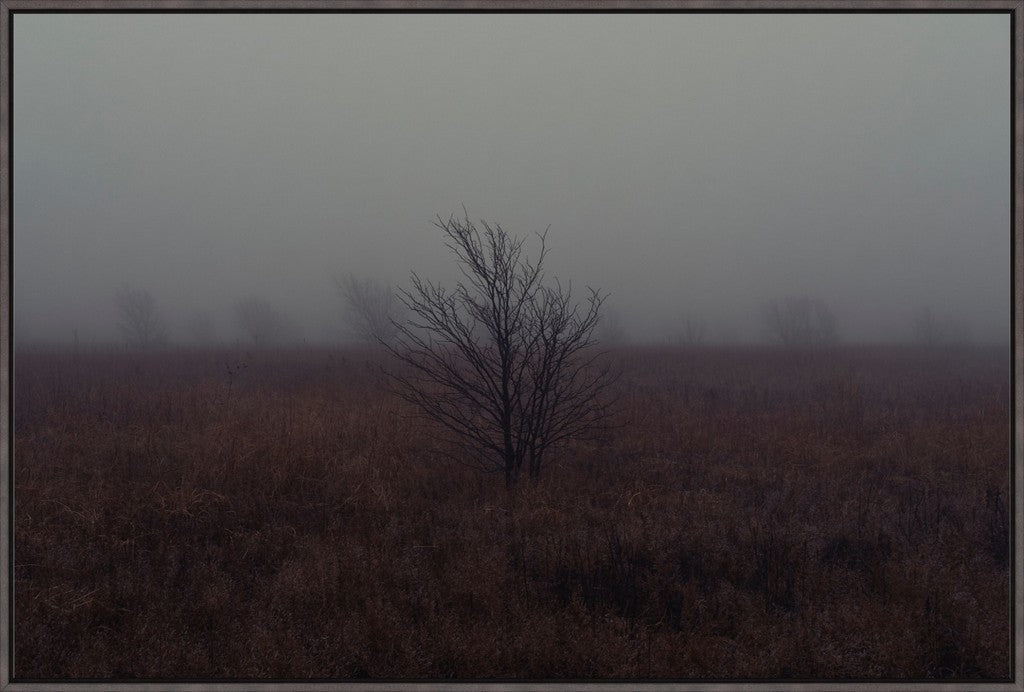 West Texas Winter Fog - 1