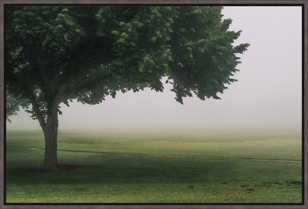 Urban Fog