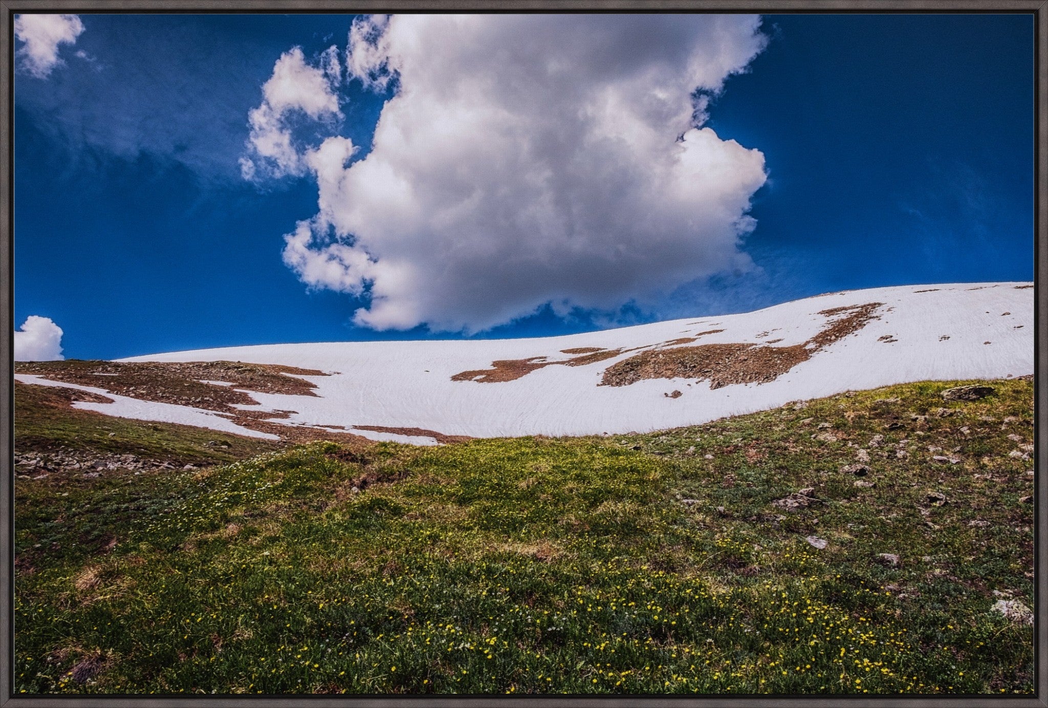 Summer Snow