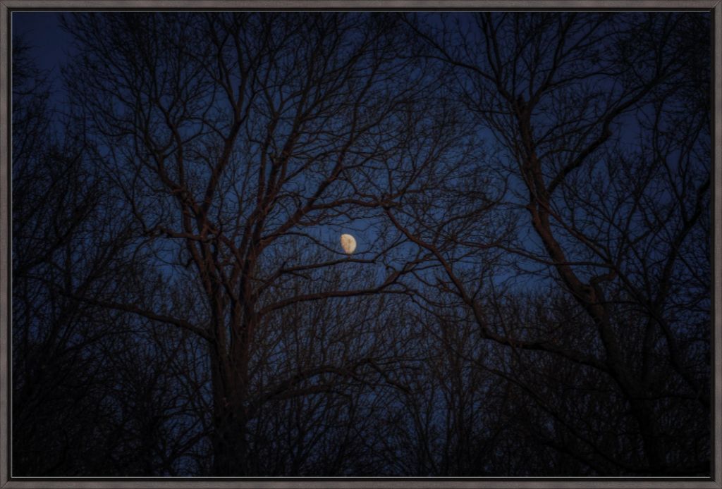 Winter Moon