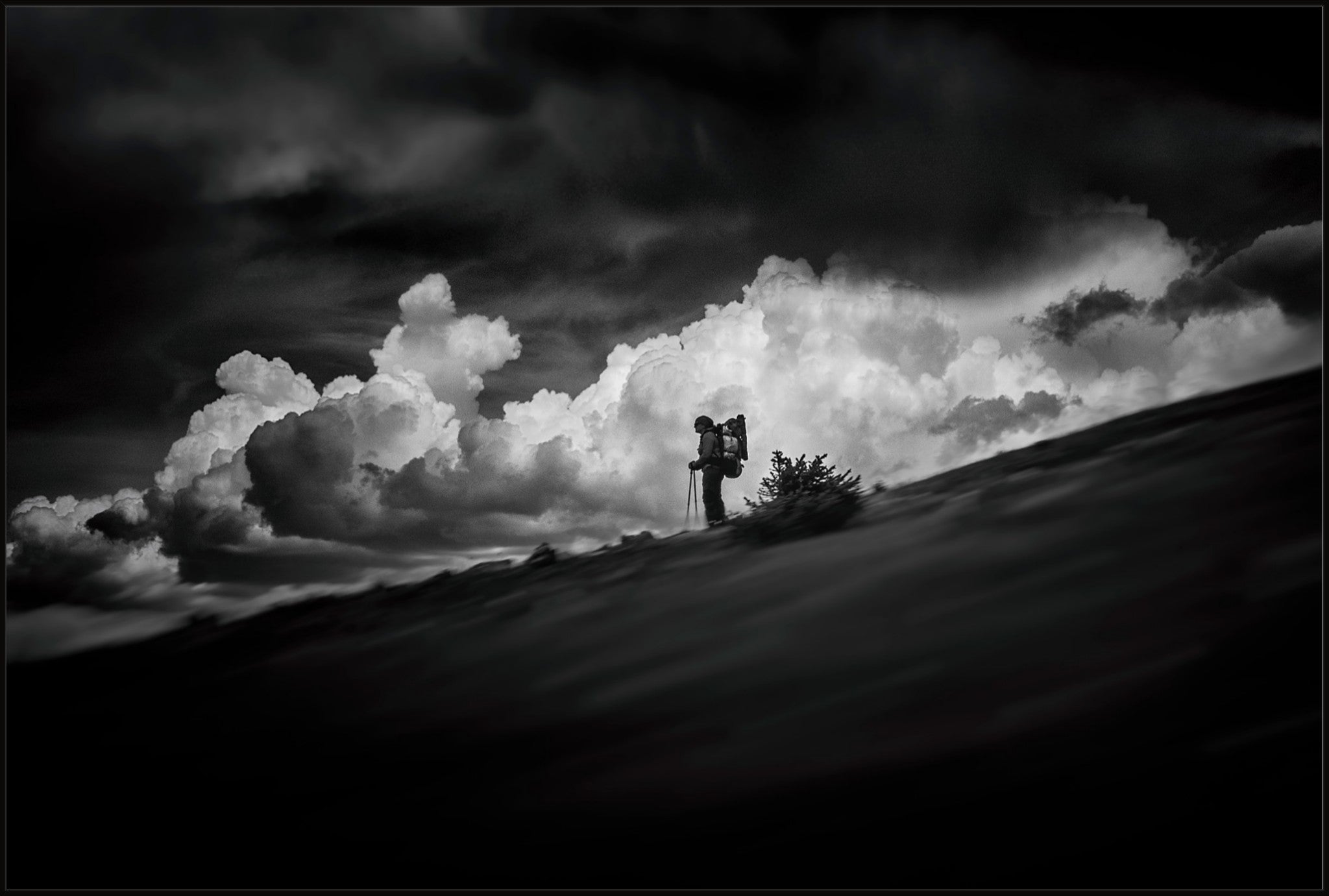 The Hiker