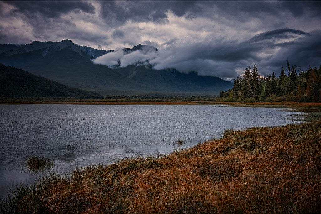 Alberta Wilderness Scene