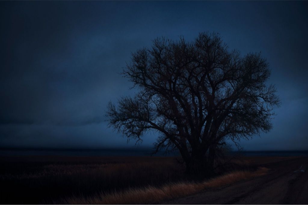 Rural Evening