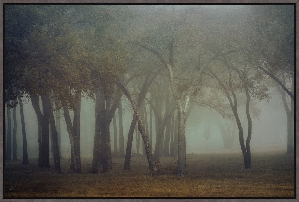 Canyon Lake Fog