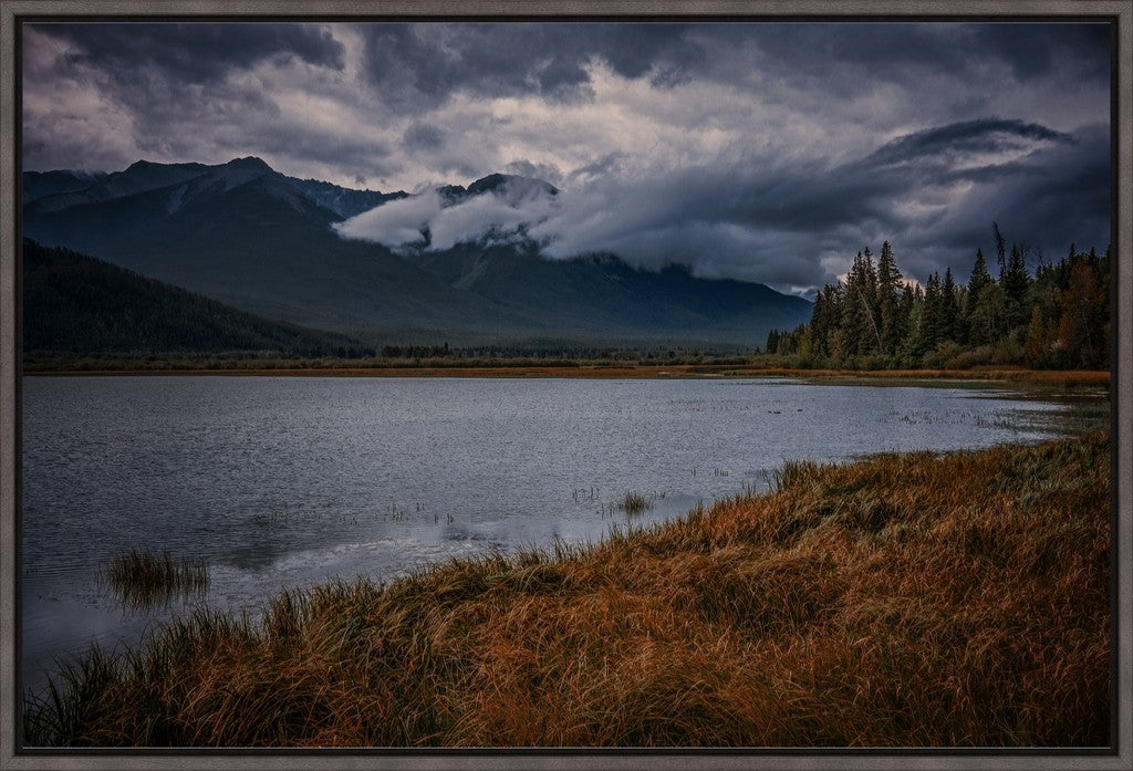 Alberta Wilderness Scene