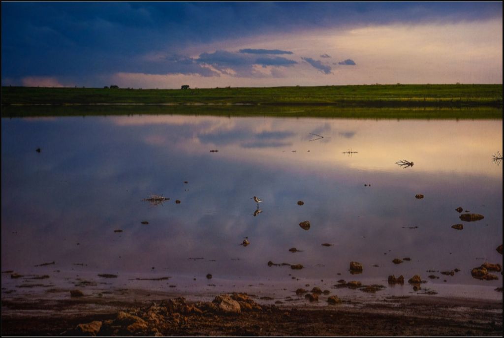 Muleshoe Reflections I