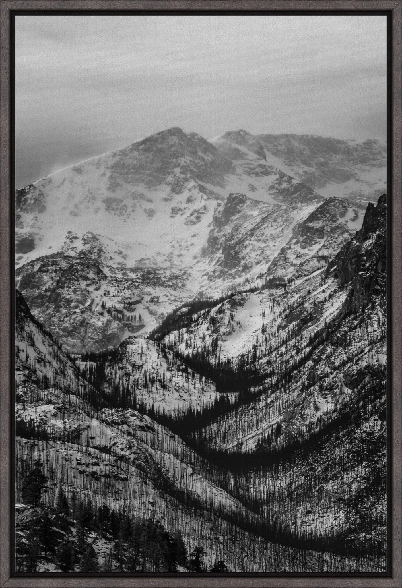 Winter Gulley
