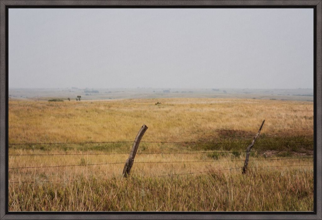 Southern Great Plains Grassland