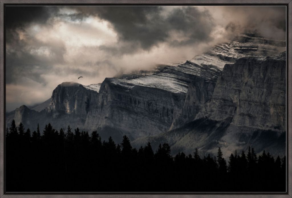 Mountain Flight