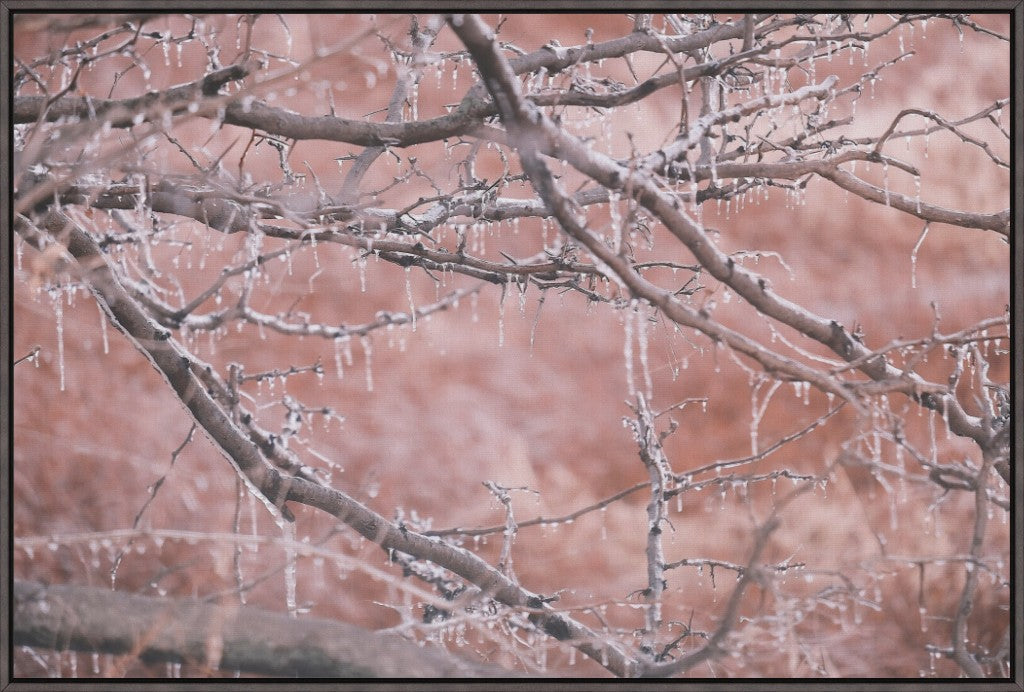 Midwest Winter Freeze