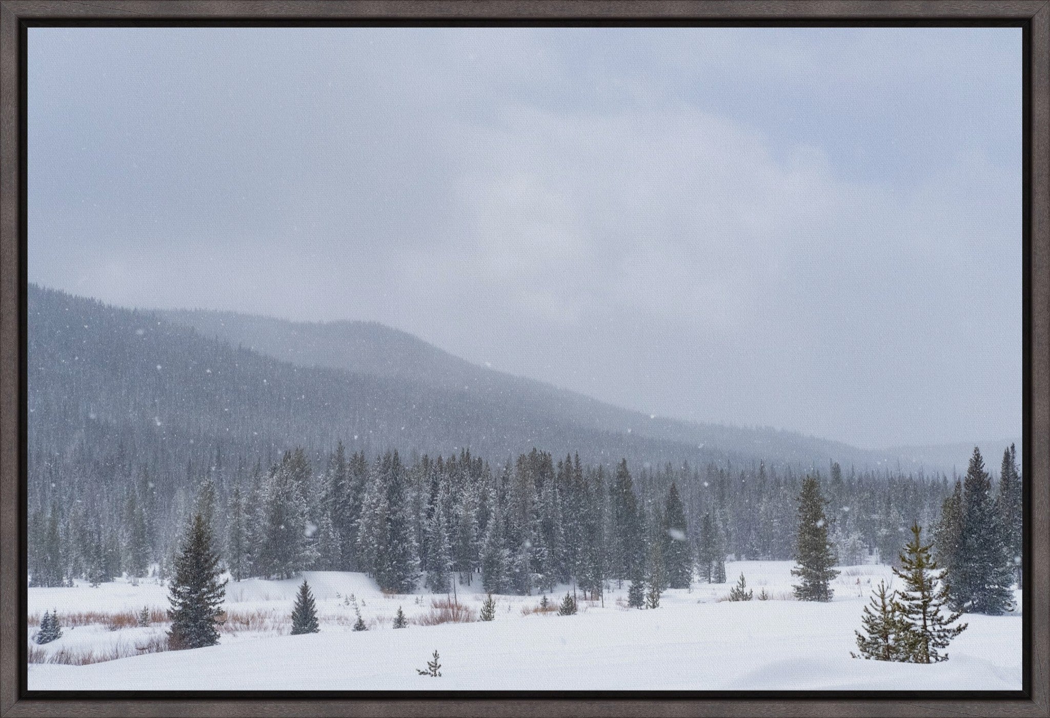 Late Winter Snowfall