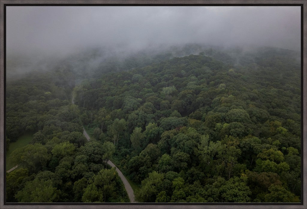 Fog Over the Bluffs Aerial