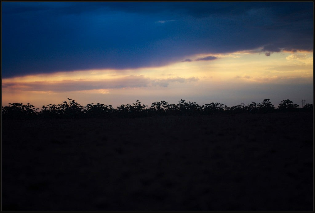 Sunset Cotton Silhouette