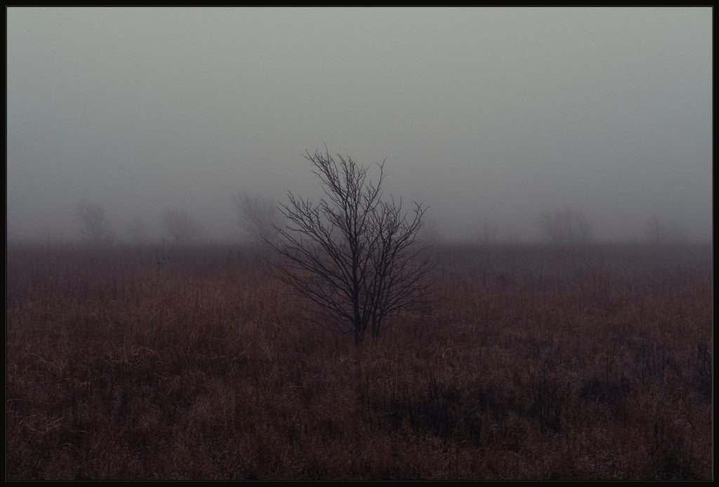 West Texas Winter Fog - 1